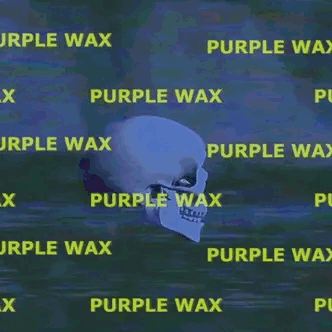 http://purplewax.com/cdn/shop/files/tumblr-p9vq0vFEn21qimwgfo1-400.gifv-encoded_1200x1200.gif?v=1630529469